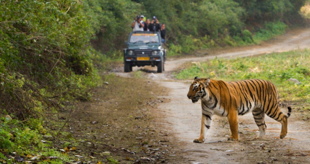 Uttarakhand Tour Package
